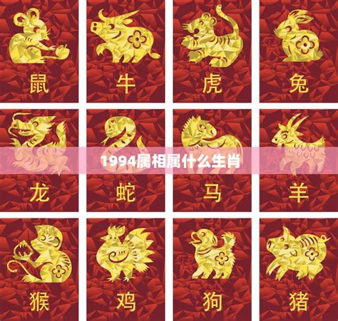 1994年屬什麼|1994年属什么生肖 1994年出生的生肖是什么命